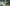 Video alt text
